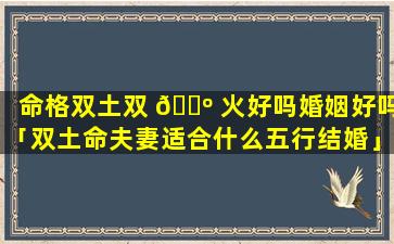 命格双土双 🐺 火好吗婚姻好吗「双土命夫妻适合什么五行结婚」